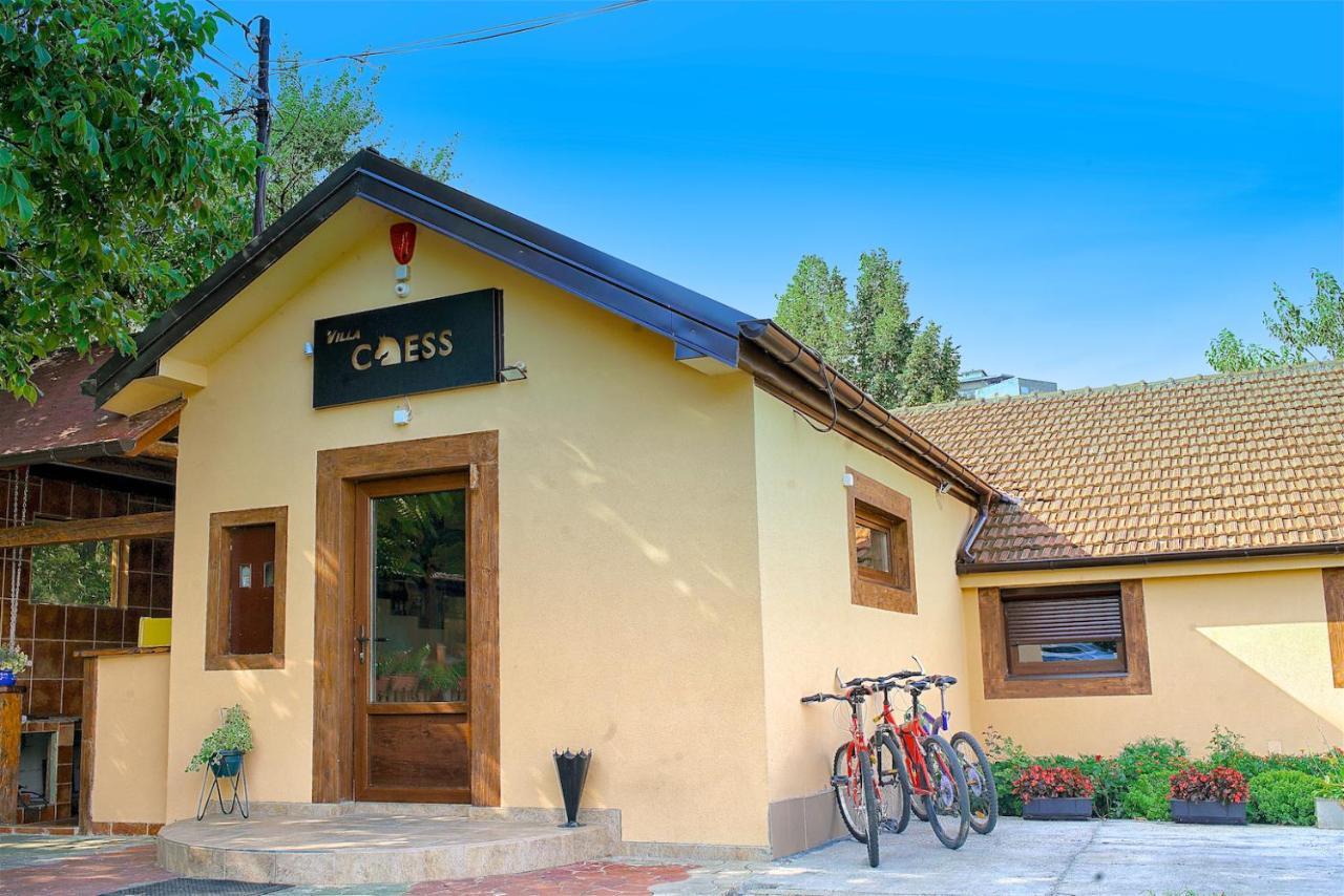 Bed and Breakfast Vila Chess Belgrad Zewnętrze zdjęcie