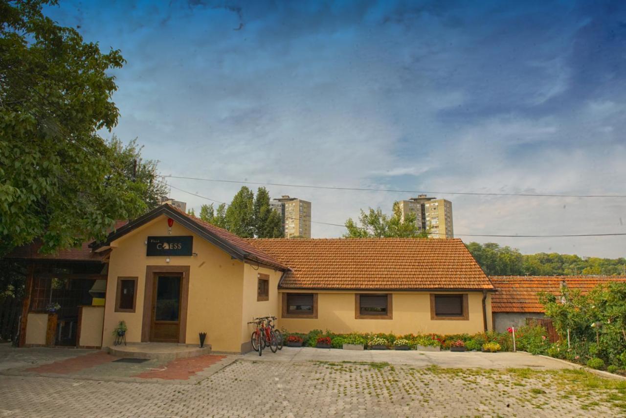 Bed and Breakfast Vila Chess Belgrad Zewnętrze zdjęcie