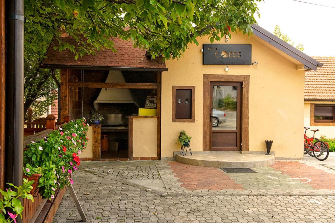 Bed and Breakfast Vila Chess Belgrad Zewnętrze zdjęcie