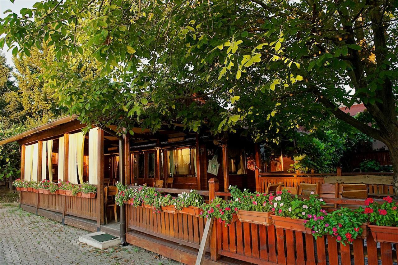 Bed and Breakfast Vila Chess Belgrad Zewnętrze zdjęcie