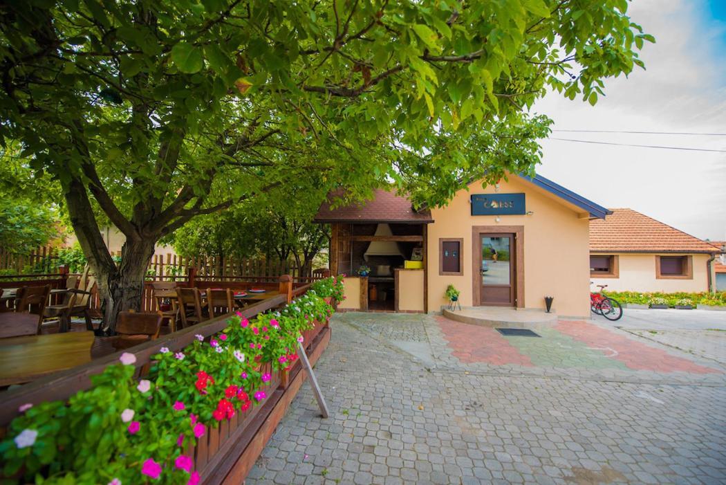 Bed and Breakfast Vila Chess Belgrad Zewnętrze zdjęcie